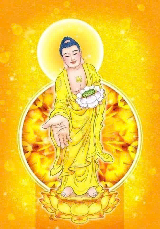 PHẬT TÁNH VỚI PHÁP LINH THIÊNG – KHƠI MỞ MINH TRIẾT GIẢI THOÁT GIỮA CUỘC ĐỜI